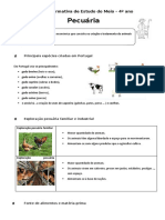 Ficha Informativa_pecuaria.docx