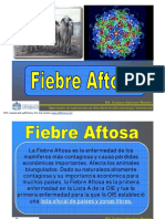 2.FIEBRE AFTOSA Dr. Gustavo Arbelaez_2.pdf