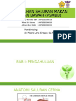 Perdarahan Saluran Makan Bagian Bawah (PSMBB)