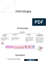 Embriologia Parte 1