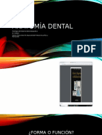 Anatomía Dental funcional