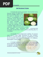 Guapple Cultivation Guide and Benefits | PDF | Legume | Grafting