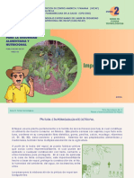 Pintura de Nopal PDF