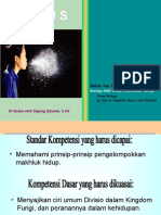 Virus.pdf