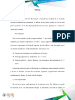 Manejo Agroecológico de La Broca Del Café