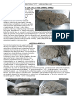 Patologia Macro - PDF