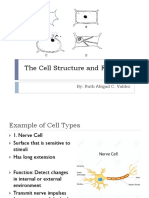 The Cell Structure and Function_pdf.pdf