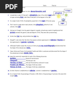 DNA and Replication Worksheet Answers