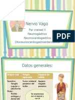 Nervio Vago