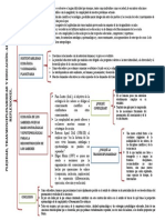 Mapa Conceptual