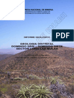Informe Geolgico Distrito Loma Las Mulas 2008 - Pub