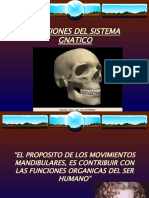 vdocuments.mx_funciones-del-sistema-gnatico.ppt