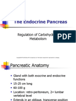 The Endocrine Pancreas: Regulation of Carbohydrate Metabolism