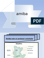 Amiba