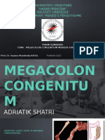 Megacolon Congenitum