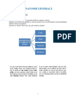 Anatomie Instructori 2015 PDF