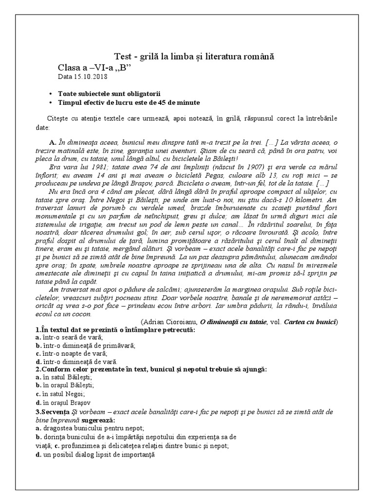 6 Test Grila | PDF