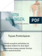 2. Sistem muskuloskeletal