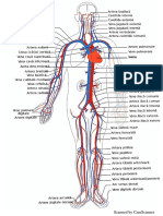 Inima si sistemul circulator.pdf