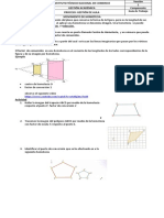 Homotecia PDF