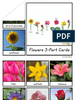 Flowers 3-Part Cards: Bird of Paradise