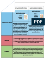 Cuadro Comparativo de Las Gladulas PDF