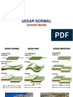 2020 A Sesar Normal PDF