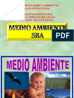 Saludocupacionalsaneamientobasicoamb 111015180052 Phpapp02