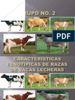 CLASES caracteristicasfenotipicas-vacaslecheras-.pdf