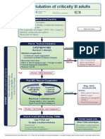 Das Critically Ill Intubation