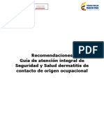 GATISO DERMATITIS (Guía dermatitis contacto ocupacional) (Actualización).pdf