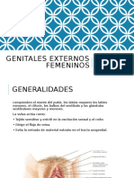 Genitales Externos Femeninos