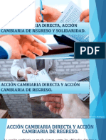 Acción Cambiaria y Solidaridad, PDF