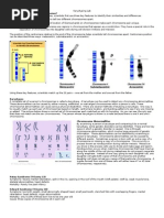 Download Karyotyping Virtual Lab Plus by Victoria Yee SN45967719 doc pdf