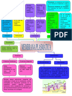 MAPA-CONCEPTUAL-DEL-TEMA-MEMBRANA-PLASMATICA (1).pdf