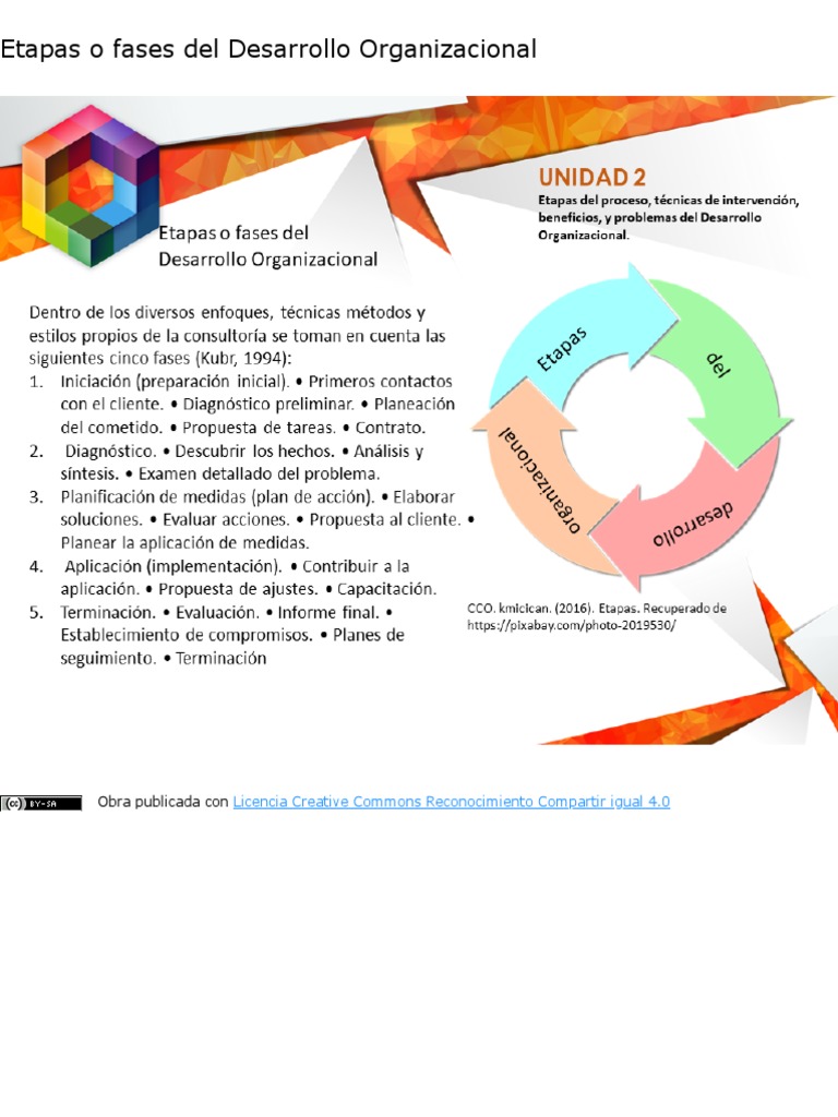 Fases del Desarrollo Organizacional | PDF | Crecimiento personal y ...