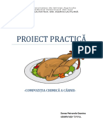 proiect practica.pdf