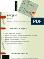 PROJEKT Matematike