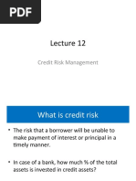 IRB Risk Weight Functions Guide | PDF | Money | Financial Services