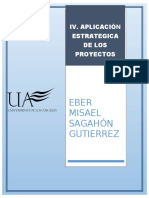 Iv. Aplicacion Estrategica de Los Proyectos