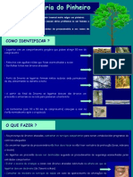 cartazprocessionaria