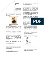 2º TRABAJO PLATAFORMA VIRTUAL PSICOLOGÍA II (1).docx