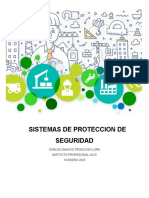 Sistemas de Proteccion de Seguridad