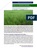 NT Brachiaria Humidicola Ceg 2017 PDF