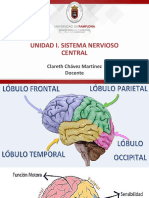 Sistema nervioso central: Mapa de Brodmann