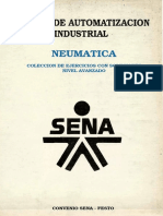 Neumatica PDF
