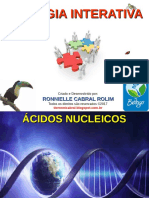 Acidos Nucleicos PDF
