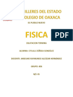 45 - 406 - Zuñiga Gonzalez Citlalli - Dilatacion Termica