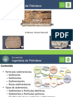 Tema 3. Particulas Sedimentarias PDF