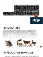 Enfermedades, Epidemiologia Bornavirus